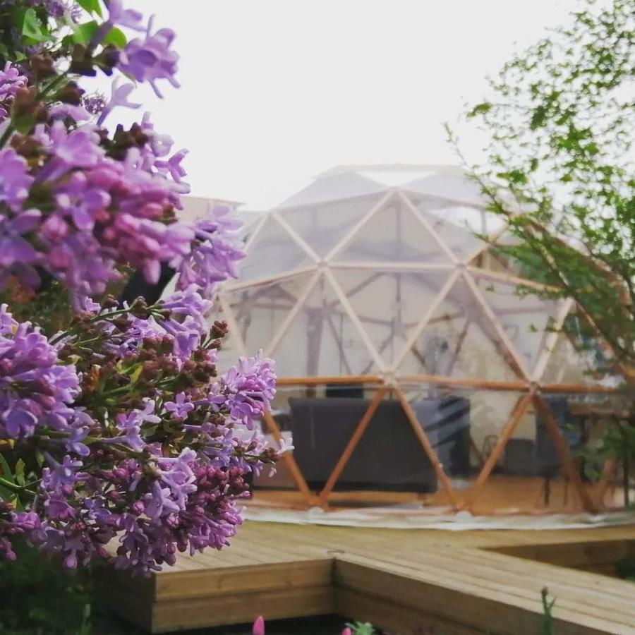 Le Dome Aux Oiseaux Hotel Bérig-Vintrange Buitenkant foto